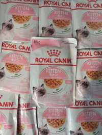 Royal Canin Kitten 10 saszetek w sosie, gratis wiaderko na karmę