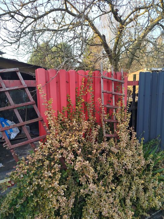 Sztachety metalowe różne kolory