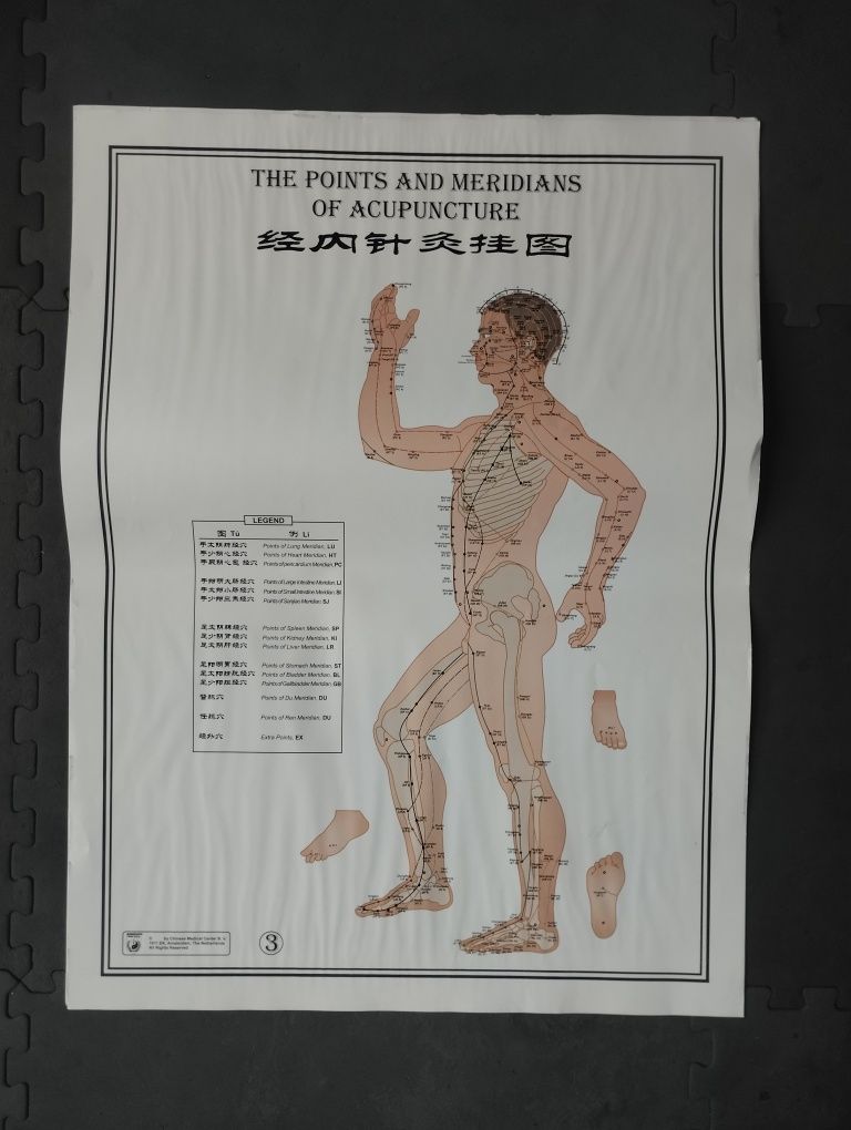 Posters meridianos medicina chinesa