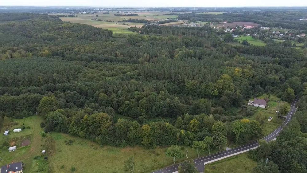 Działka rolno-leśna z warunkami zabudowy*30 561 m2*własny las*strumyk
