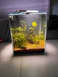 Akwarium aquael 30 l z bojownikiem