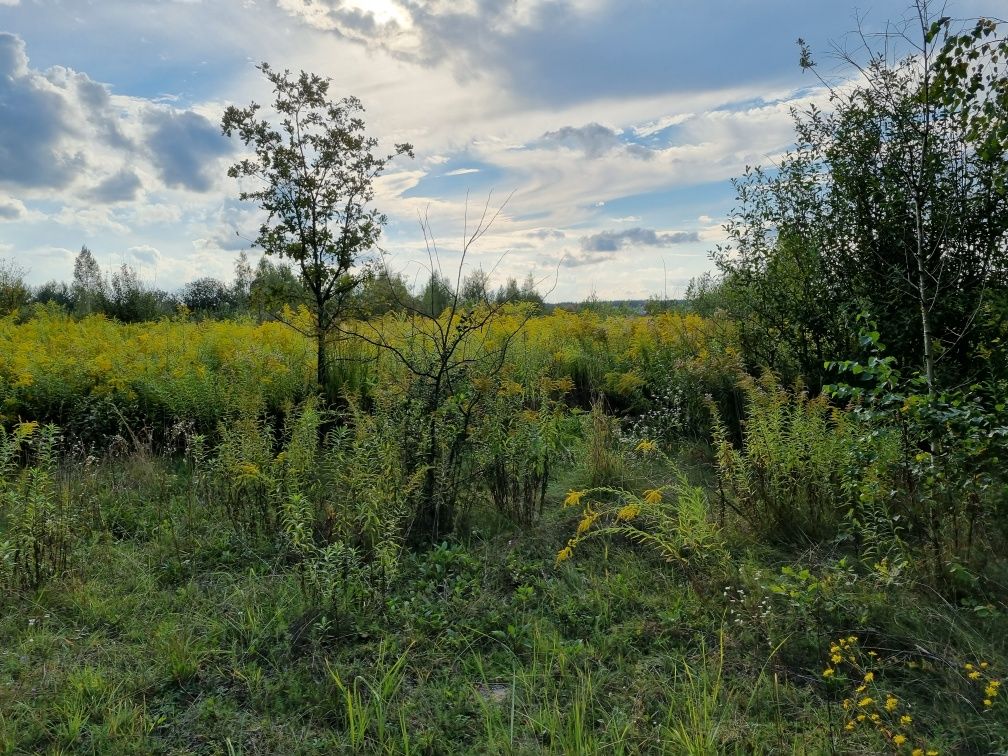 Земельна ділянка під будівництво