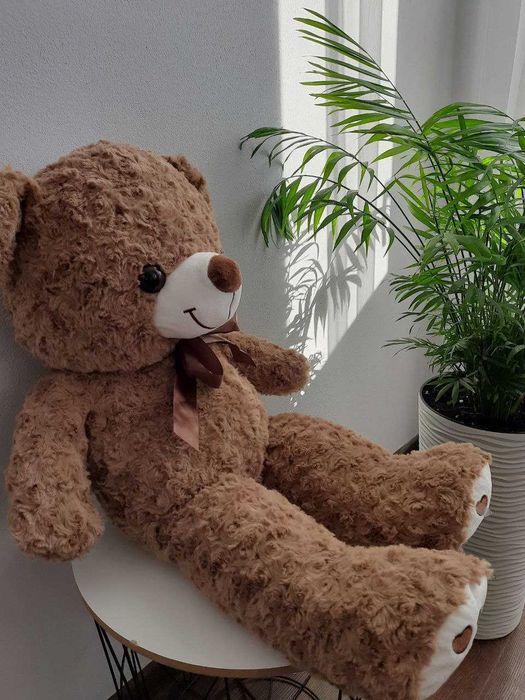 Ведмедики з пледами