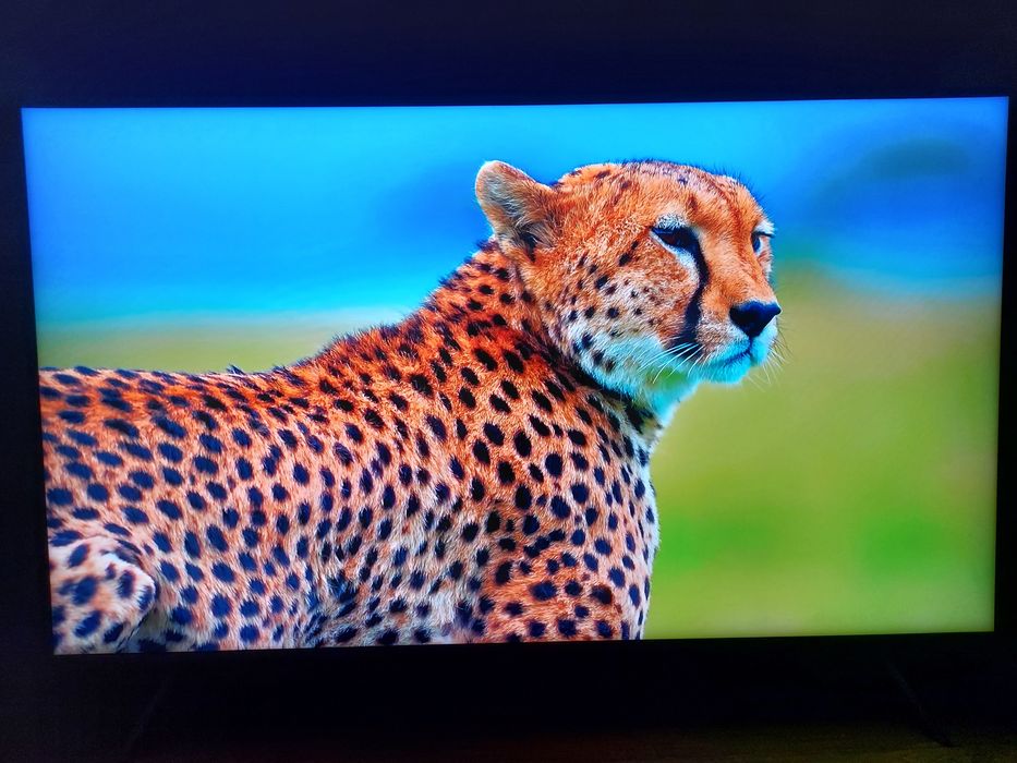 SmartTV QLED Samsung 55" 4K WiFi BT DVB-T2/S2/C Quantum HDR10+ ZESTAW!
