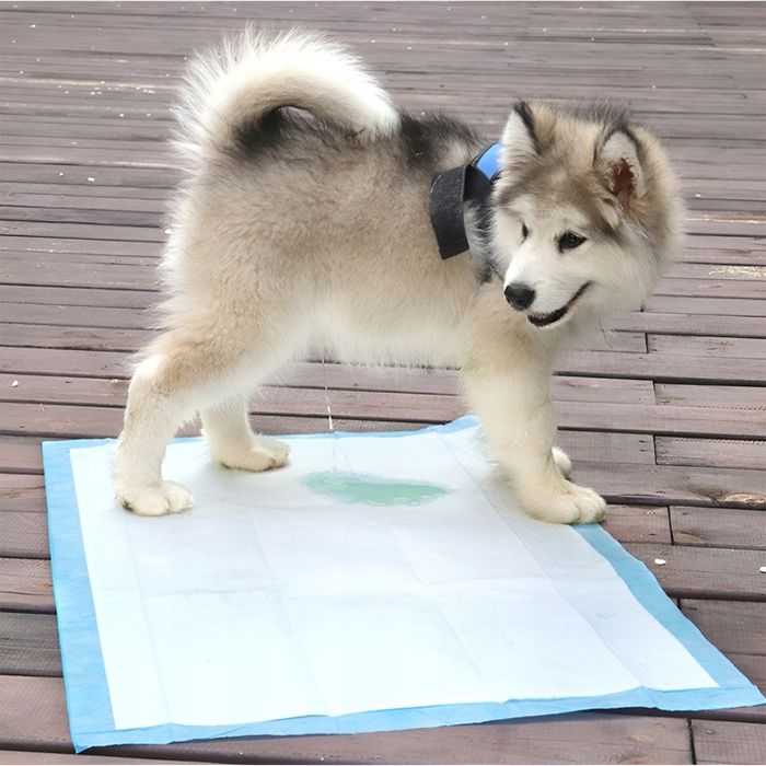 Podkłady Higieniczne Maty Dla Psa Nauka Sikania Xl 90x60 Cm Mocne 50 S