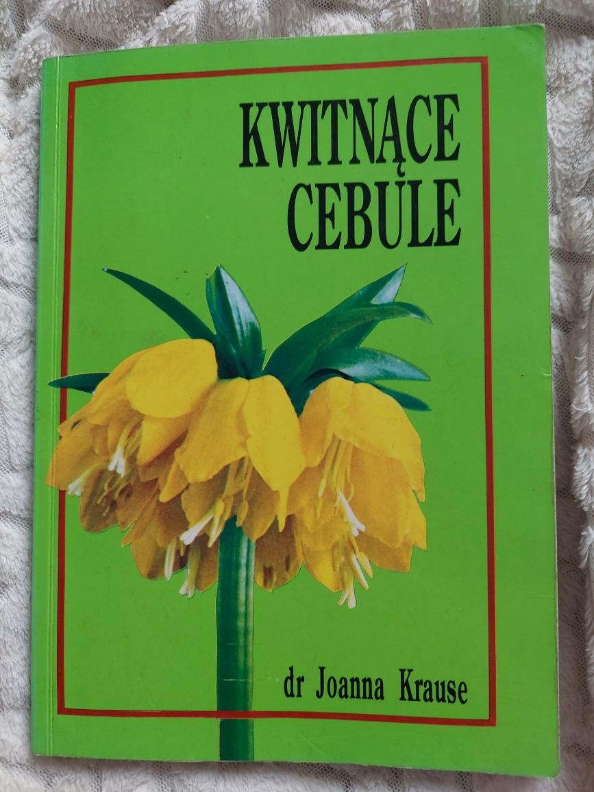 kwitnące cebulę dr Joanna Krause