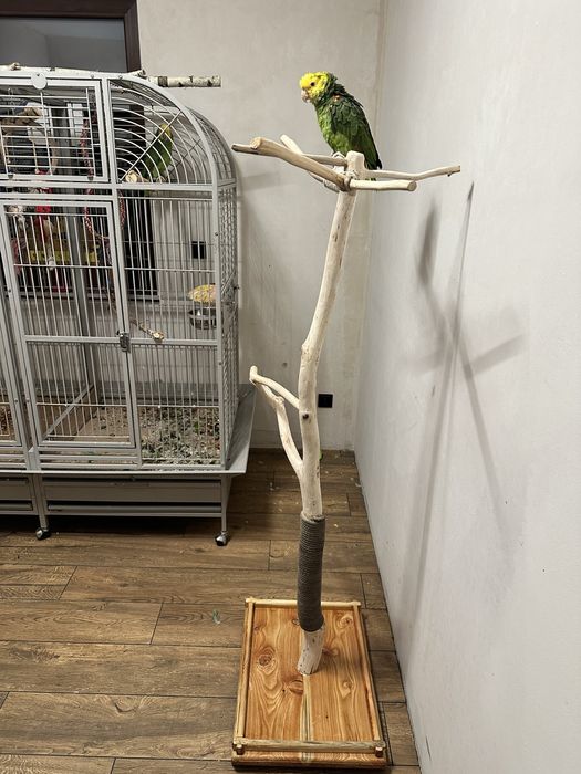 Stojaki dla papug z litego drewna – na zamówienie!