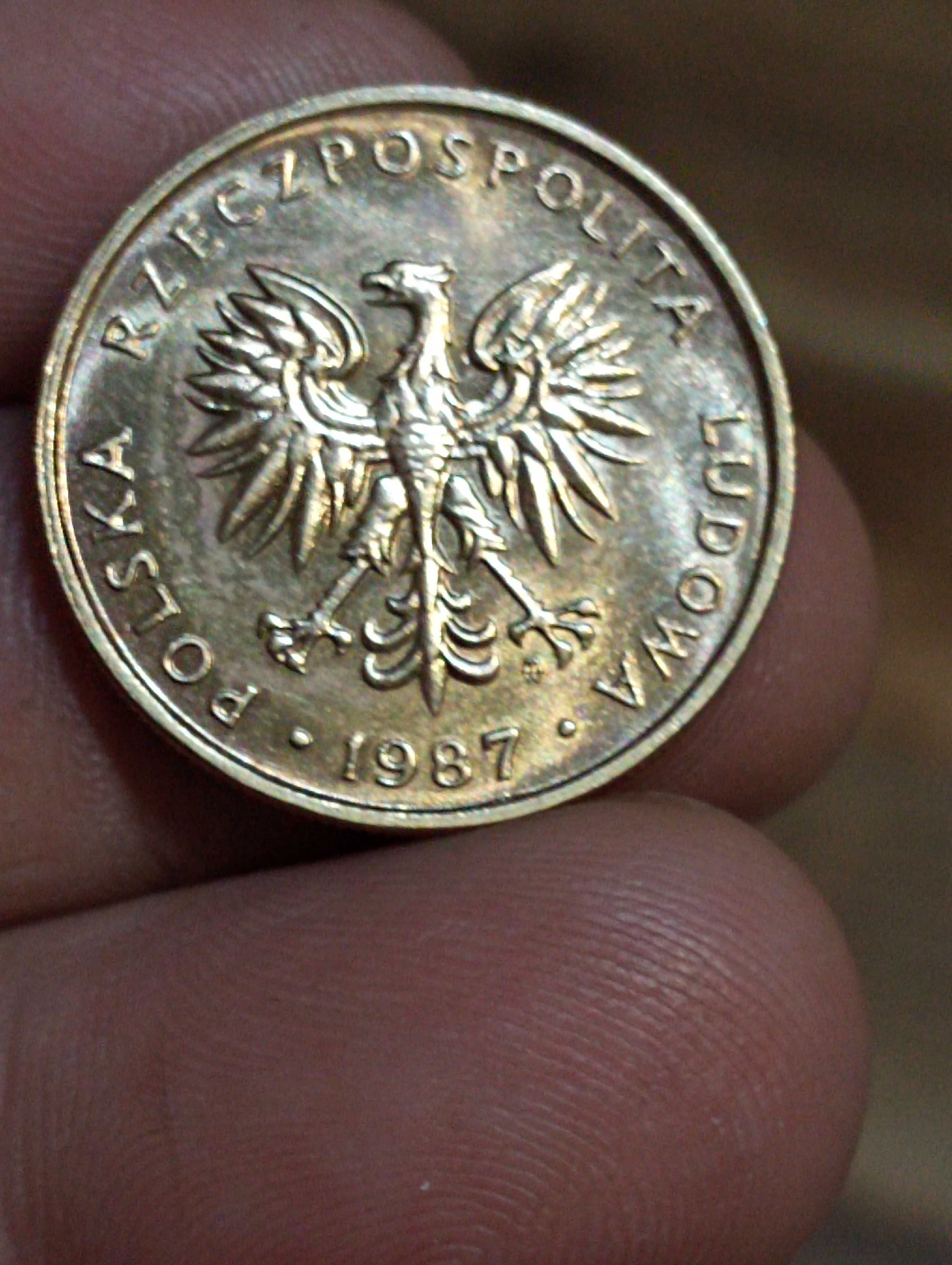 Sprzedam monete druga 5 zloty 1987 rok