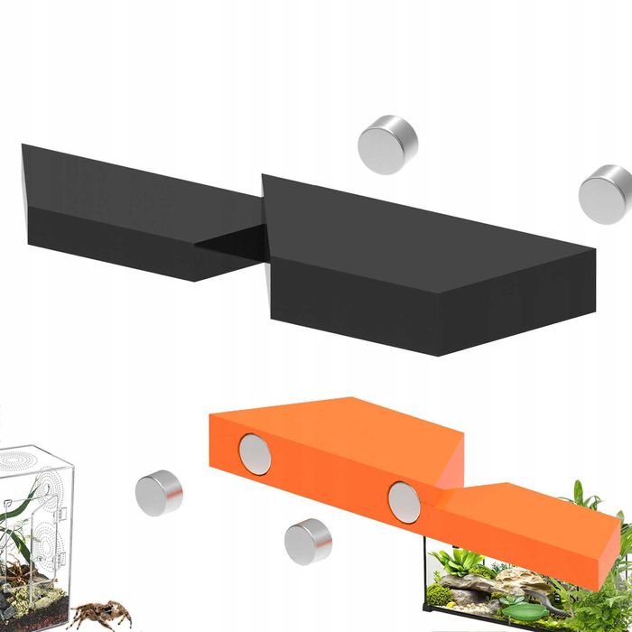 Magnetyczna półka półeczka dla skakunów pająki modliszki TerraZaplecze