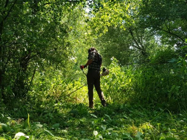 Pielęgnacja ogrodu przycinanie żywopłotu formowanie krzewów koszenie