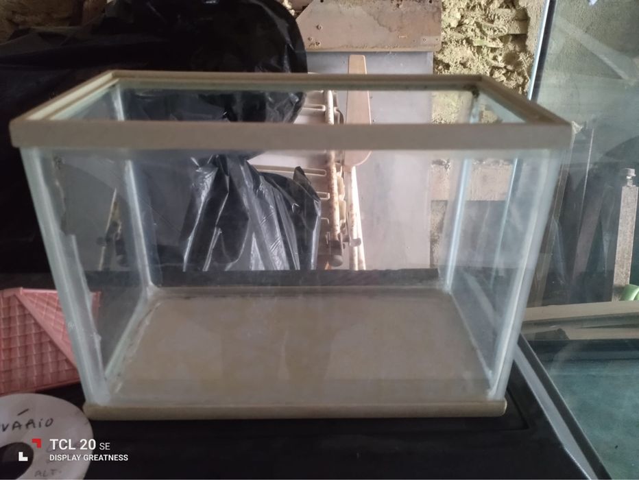 Pequeno aquário para peixes