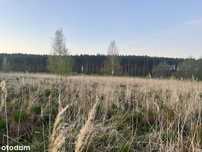Działka nad rzeką Brdą