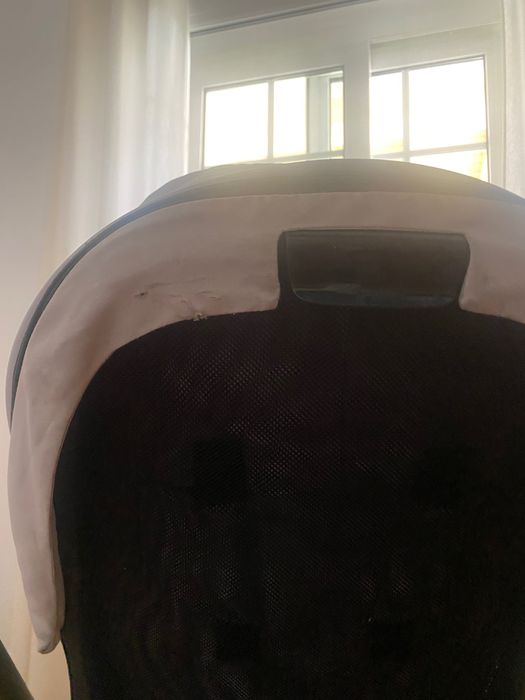 Carrinho passeio e ovo de transporte