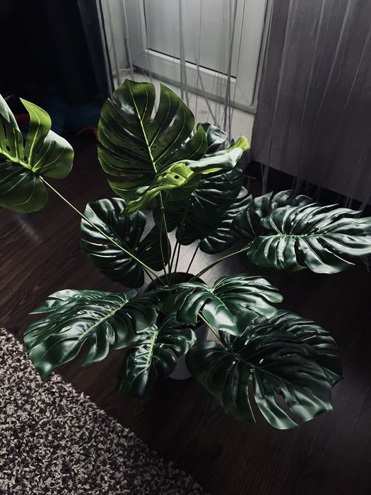Искусственная монстера латекс, штучна латексная