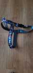 Szelki norweskie John Dog XL