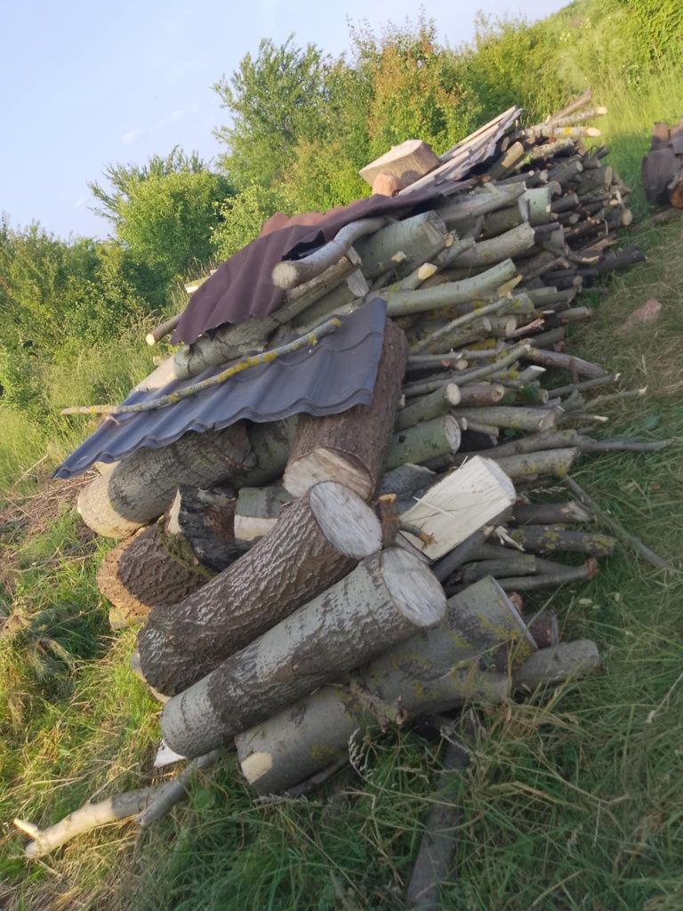 Drewno SOSNA LIPA JABLON Grusza owocowe ORZECH kominkowe opałowe