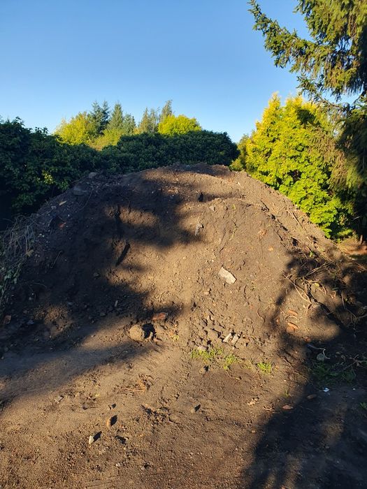 Oddam ziemię za darmo