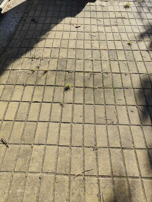 Kostka brukowa używana - kolor żółty, 50-60m2