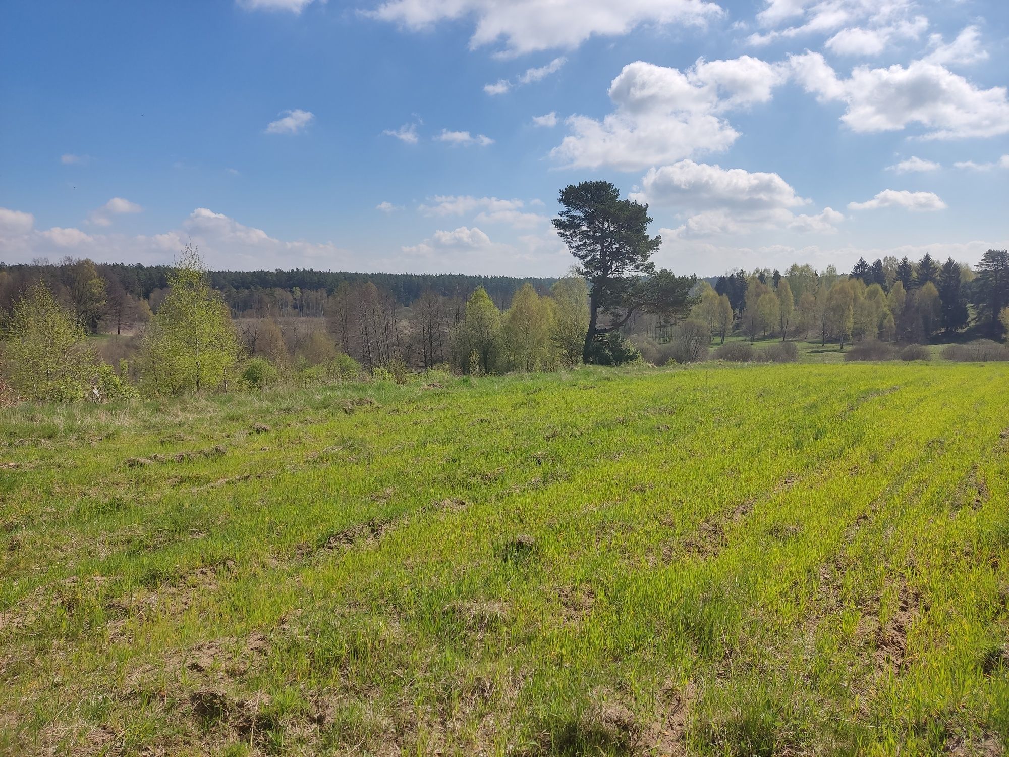 Działka rekreacyjna, Mazury, jeziora,  piękny widok, Elganowo, Pasym