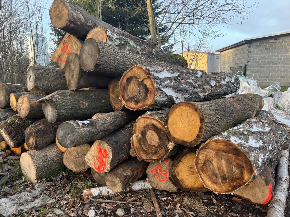 Drewno wałki 2,5m DĄB BUK OLCHA BRZOZA drewno kominkowe kłody stosowe