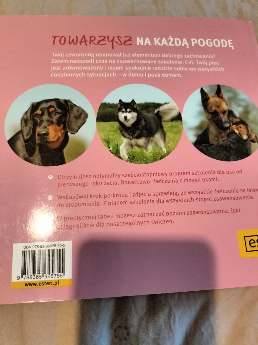 6-stopniowy program szkolenia psów