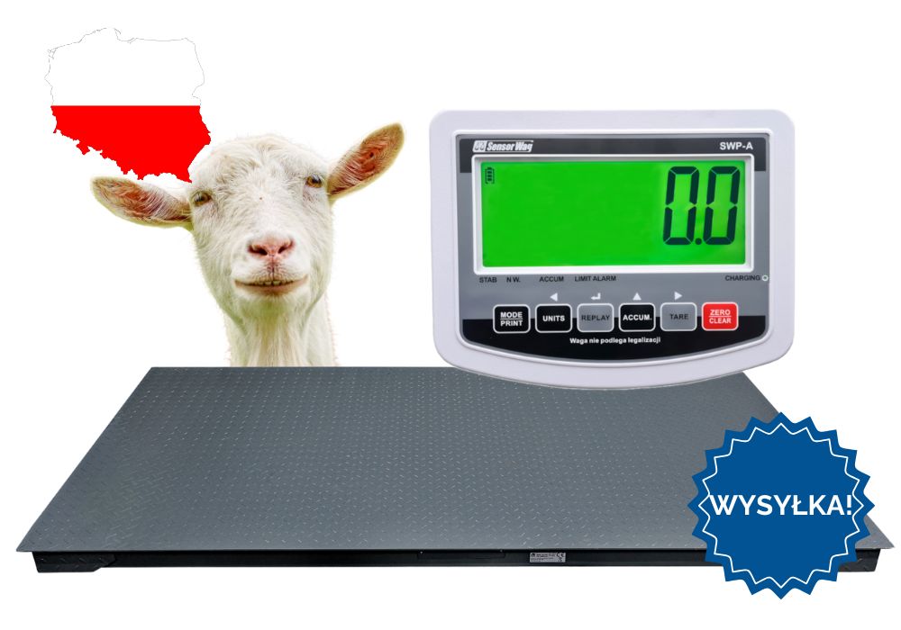 Waga inwentarzowa do gospodarstwa Do Zwierząt 1,5x2 5T DOSTAWA