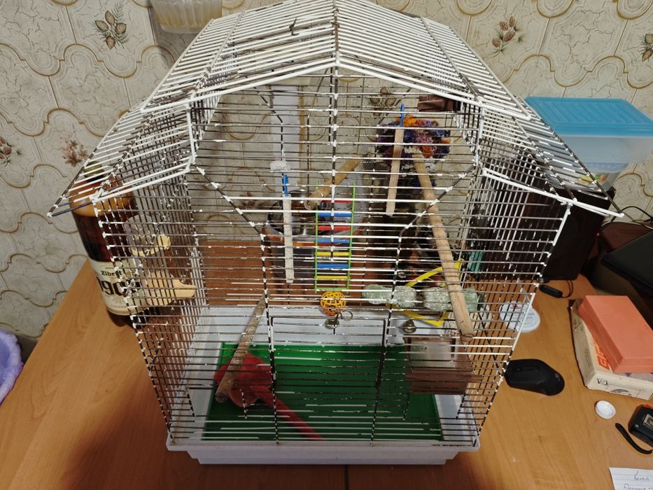 Клетки для попугаев