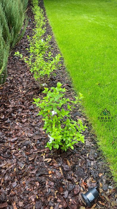 OGRODY - Trawniki - Automatyczne NAWADNIANIE 2025 - SMART GARDEN