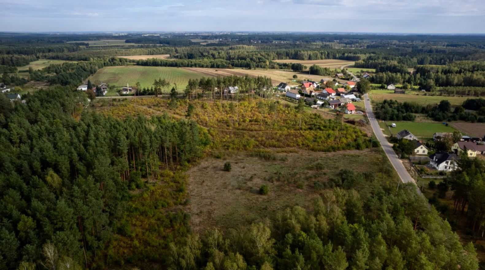 Duża działka leśna w miejscowości Błędnica, 9,7142 ha