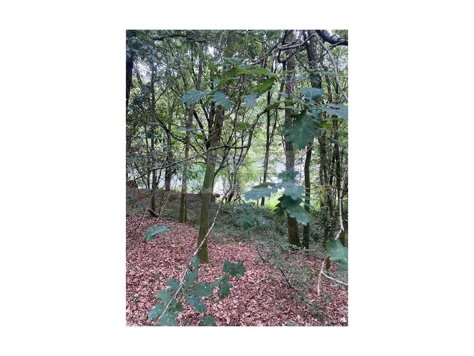 Terreno Da Foz Do Rio Gaia, Afluente Do Rio Vouga Em Arcozelo Das M...