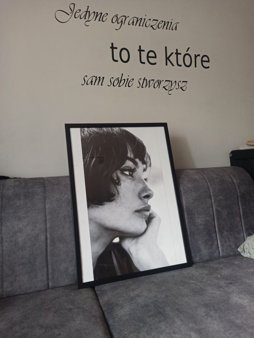 Plakat Taylor LaShae 70x50