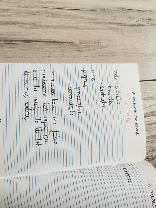 Z ekoludkiem w szkole dla klasy II zeszyt 3 pisze utrwalam i sprawdzam