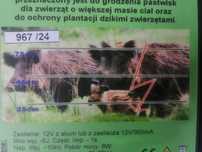 Elektryzator Pastuch na dziki 6J