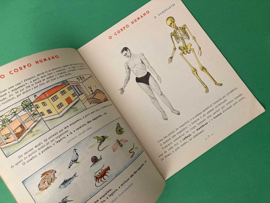 Livro Escolar Ciências Naturais Porto Editora Anos 60
