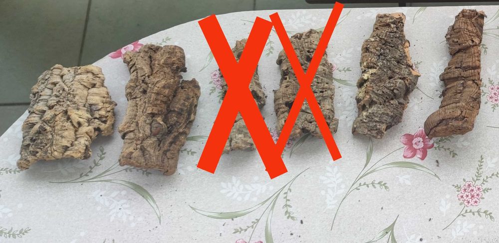 Kryjówka z korka dębu korkowego