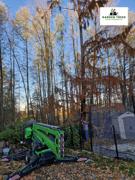 Wycinka drzew, pielęgnacja drzew, przycinanie drzew