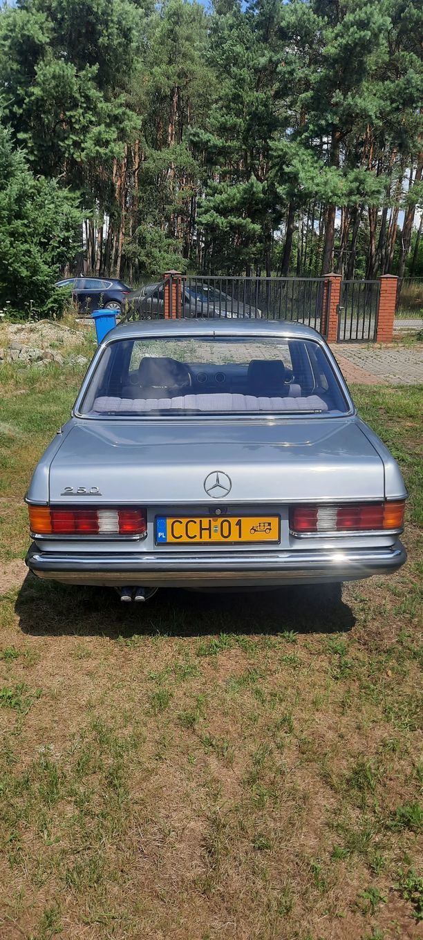 Mercedes-Benz W123 Mercedes-Benz Daimler-Benz W123 1981r oryginał 250 automat