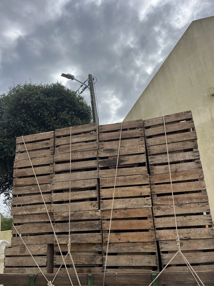 Caixas de Fruta em madeira para decoração