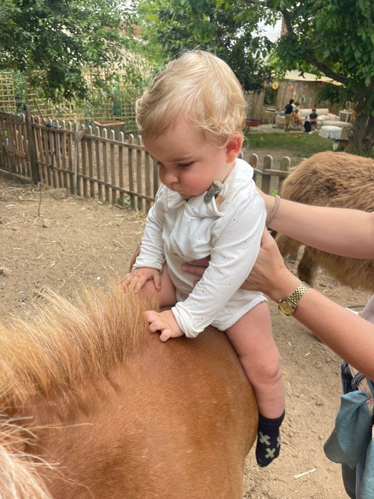 Festas para Crianças em Quinta com Animais