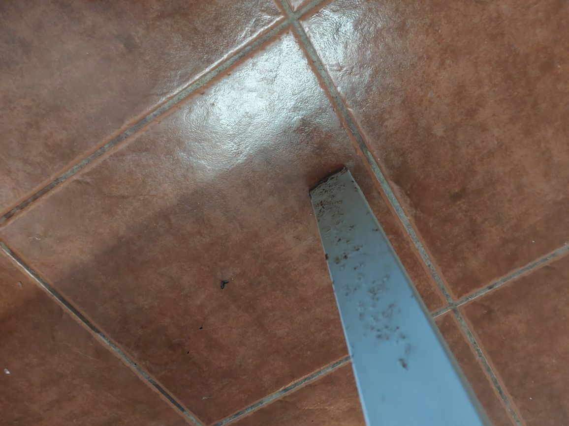 mesa tampo vidro