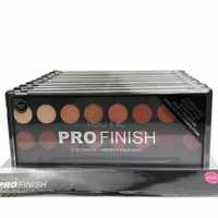 тени Technic Pro Finish Eye