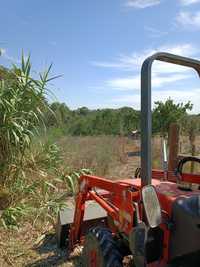 Limpeza e manutenção de terrenos e jardins