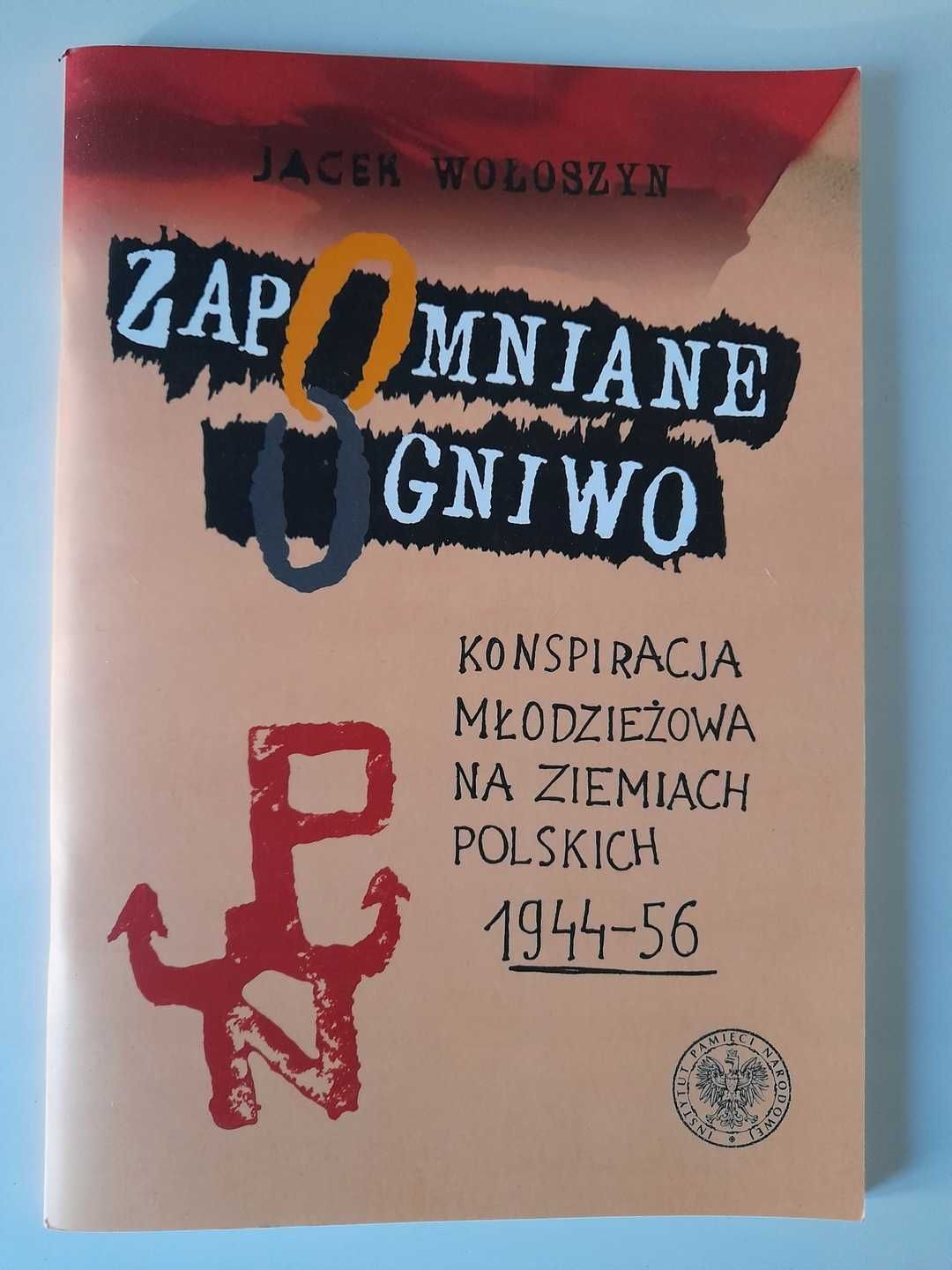 Zapomniane ogniwo Konspiracja młodzieżowa na ziemiach polskich