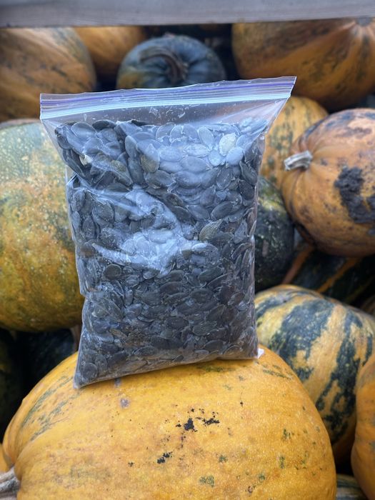 Гарбузове насіння голонасінне. Урожай 2025. Ціна з ОЛХ доставкою