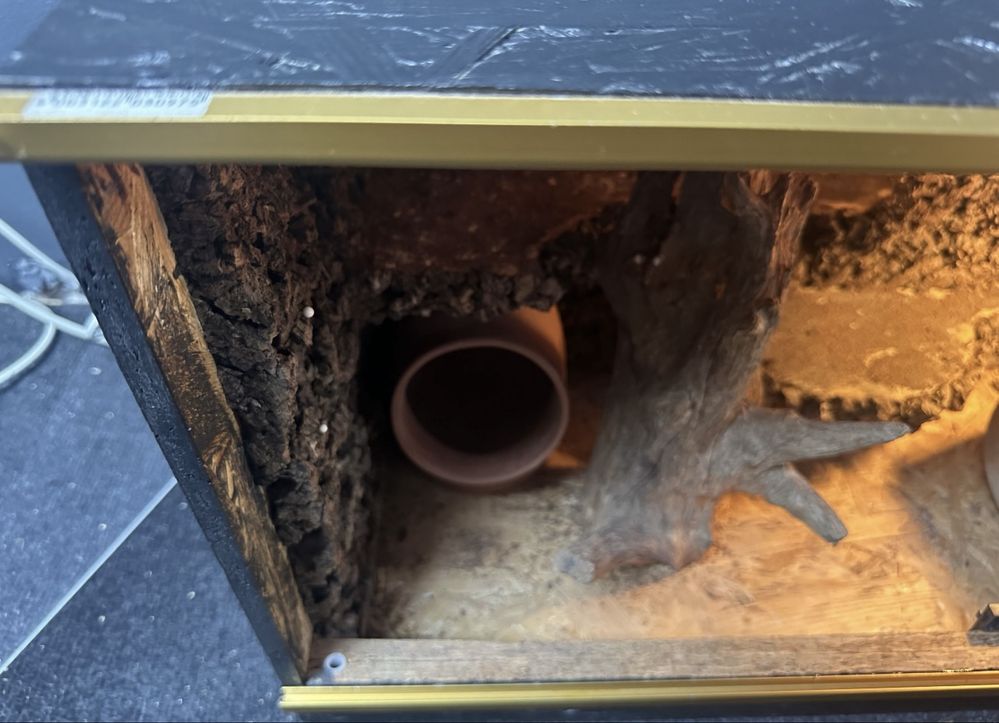 Terarium dla węża/gekona