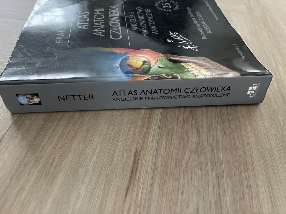 Atlas anatomii czlowieka Netter angielskie mianownictwo