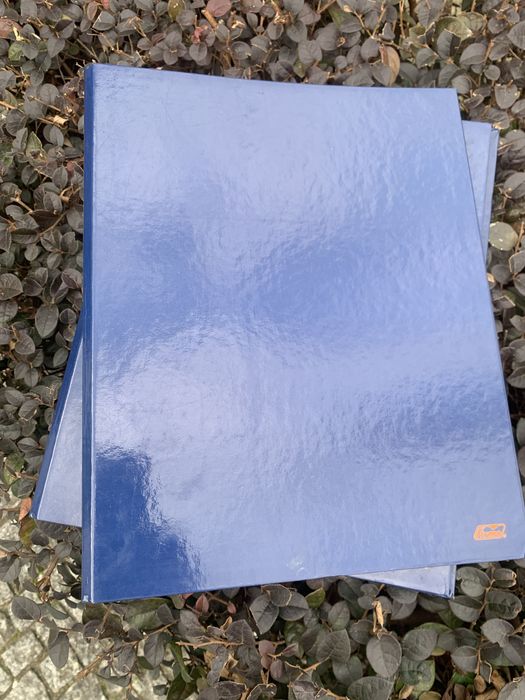 Nunca usadas; 16- Capas de arquivo, lombada media.