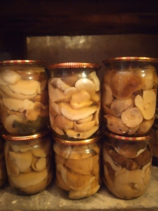 Продам мариновані, сухі білі гриби...