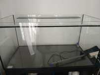 Aquário 80 cm 40cm 40cm para venda com acessórios
