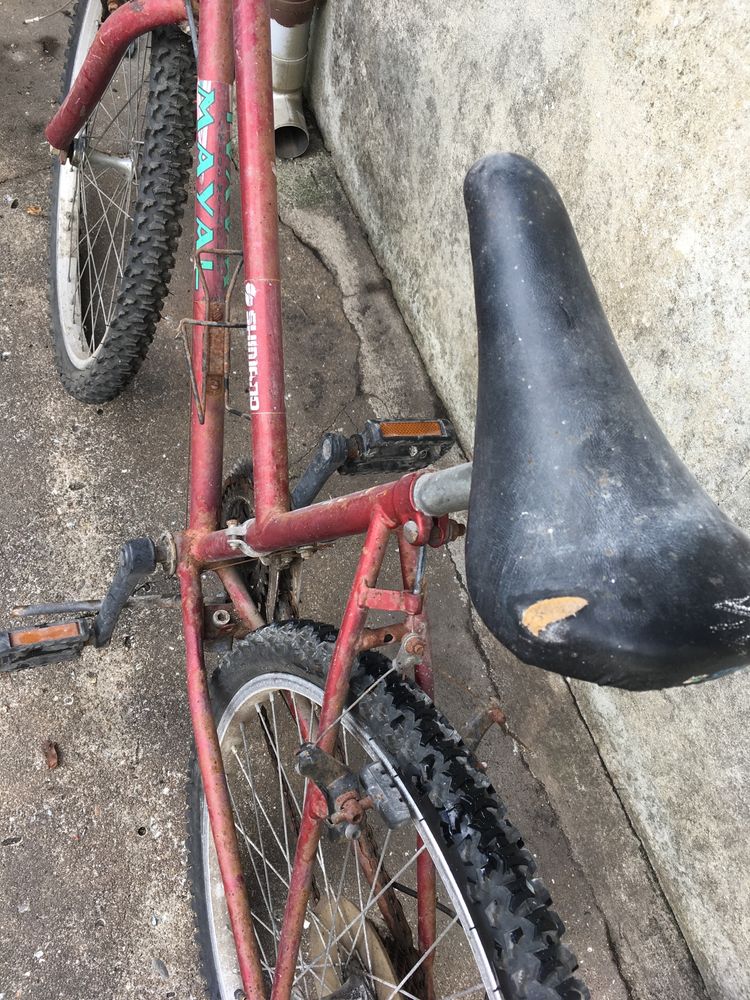 Bicicleta rapariga para restauro